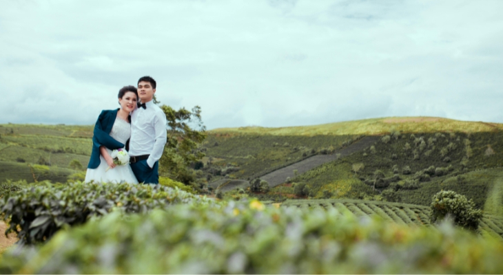 Why Choose Bellevue Hill For Photography