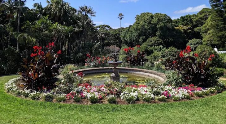 Vaucluse House Gardens